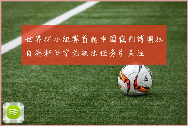世界杯小组赛首轮中国裁判傅明独自亮相马宁无执法任务引关注