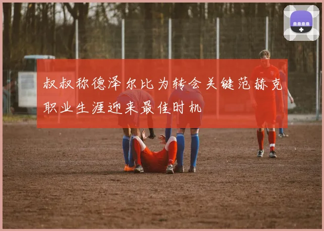 叔叔称德泽尔比为转会关键范赫克职业生涯迎来最佳时机