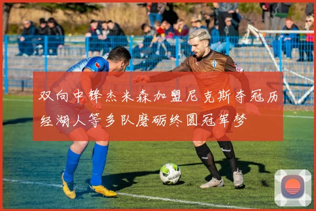 双向中锋杰米森加盟尼克斯夺冠历经湖人等多队磨砺终圆冠军梦